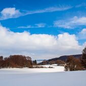 Winterlandschaft Hell - Dunkel - Kontrast