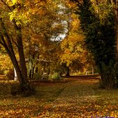 Spaziergang im herbstlichen Park