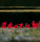 Verschiedene Strukturen in Farbe