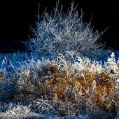 Die Sonne lässt den Frost weichen