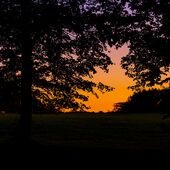 Abendrot Scherenschnitt