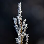 Die einsame Spitze