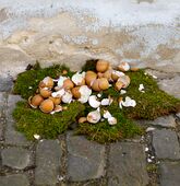 Die Eierschalen sind hier der wichtige Teil (Tradition zu Ostern)