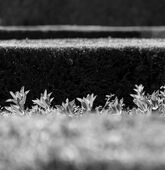 Verschiedene Strukturen in Schwarz-Weiß