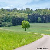 Bild1: Original Abstand zum Motiv